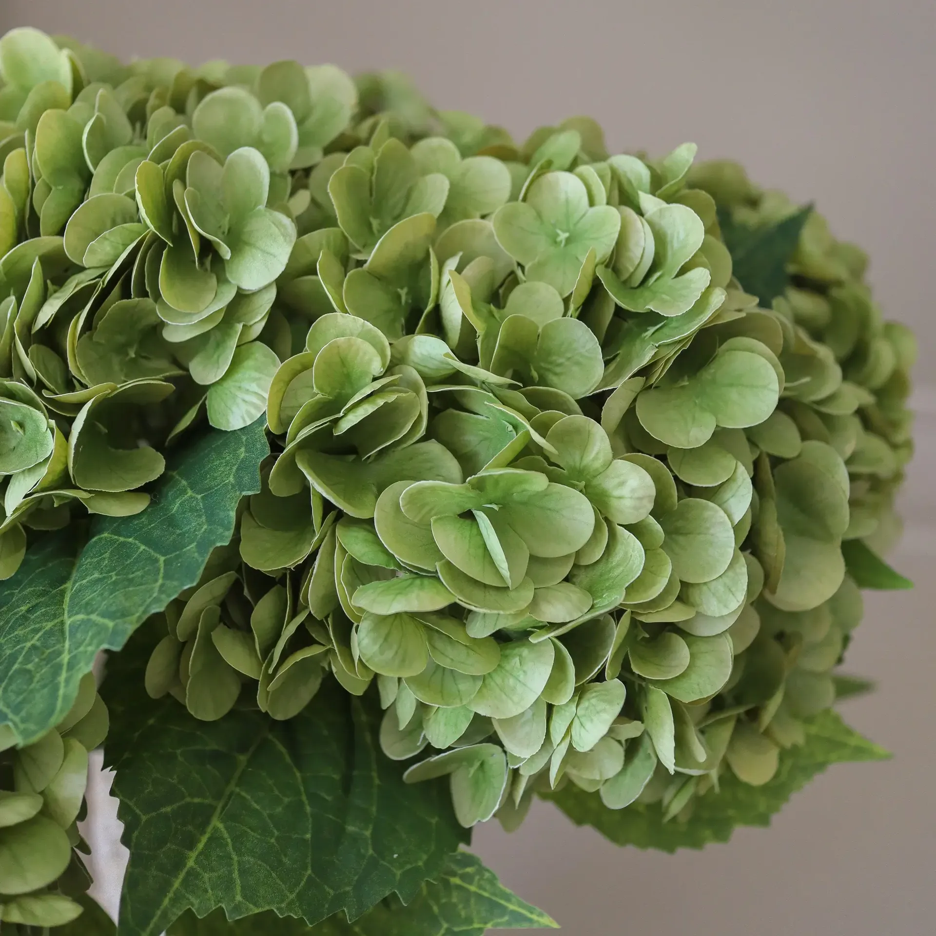 Hortensia kunstboeket, mosgroen, 51 cm, 6 stuks Botané