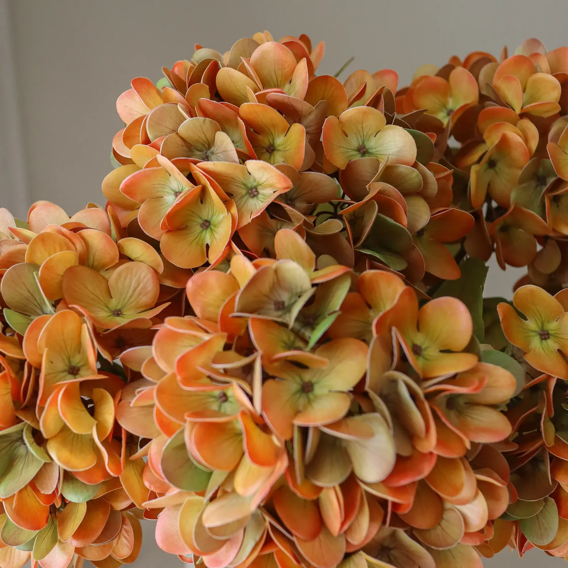 Hortensia kunstboeket, Oranje, 60 cm, 6 stuks Botané