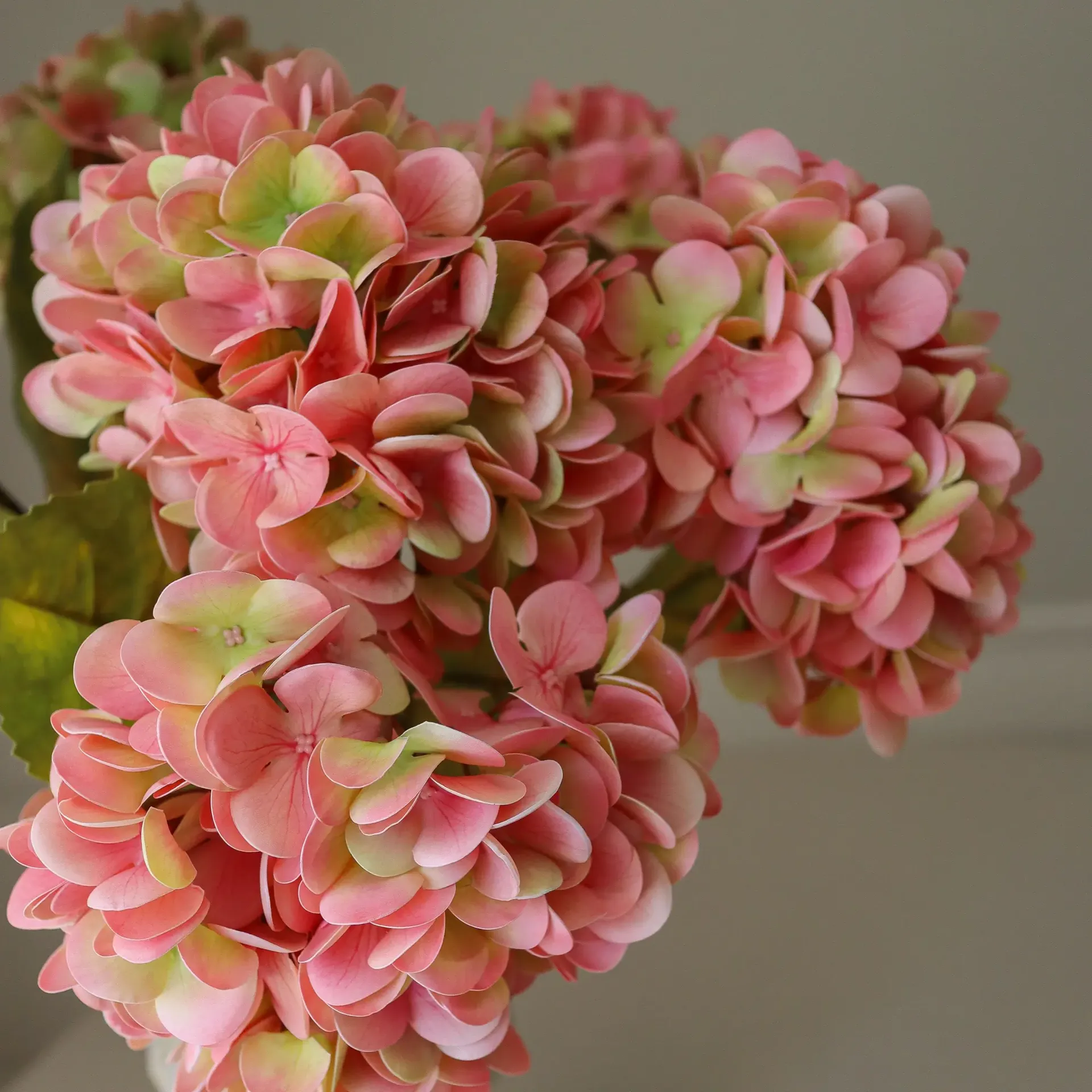 Hortensia kunstboeket, Soft pink, 60 cm, 5 stuks Botané
