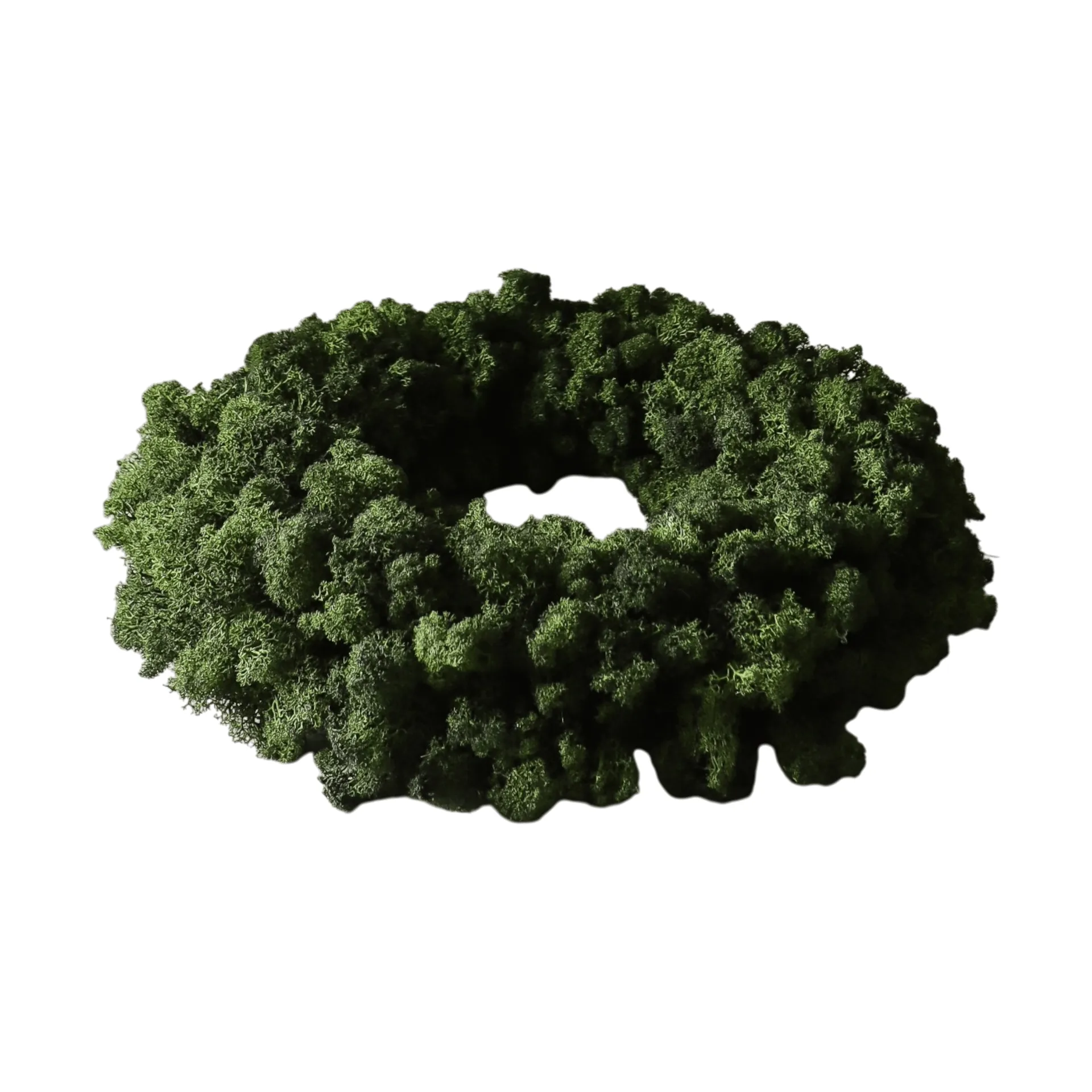 Moss Wreath moskrans, Green, Ø40 cm Botané
