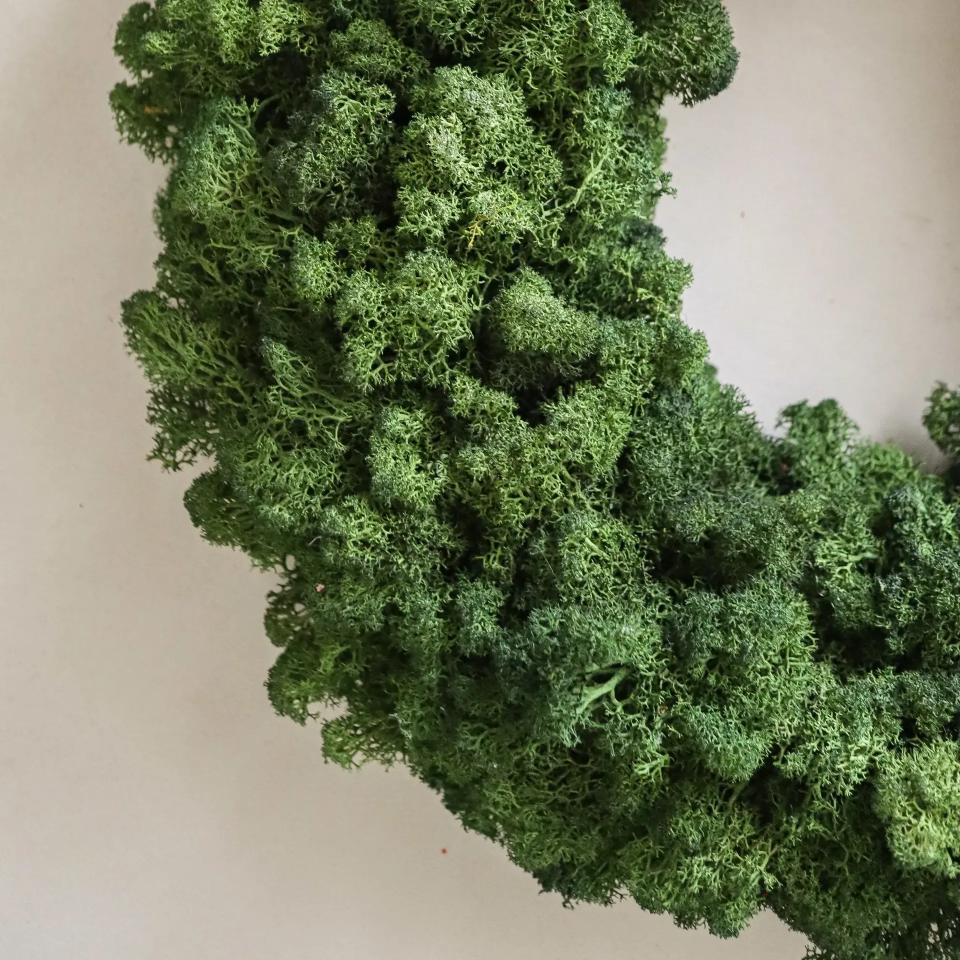 Moss Wreath moskrans, Green, Ø40 cm Botané