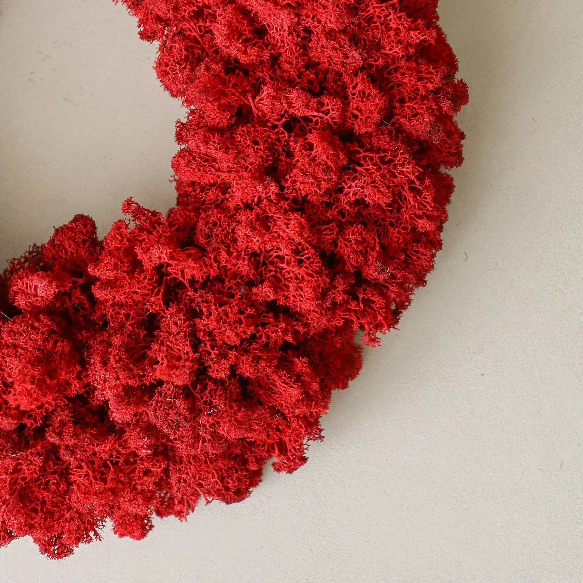 Moss Wreath moskrans, Red, Ø40 cm Botané