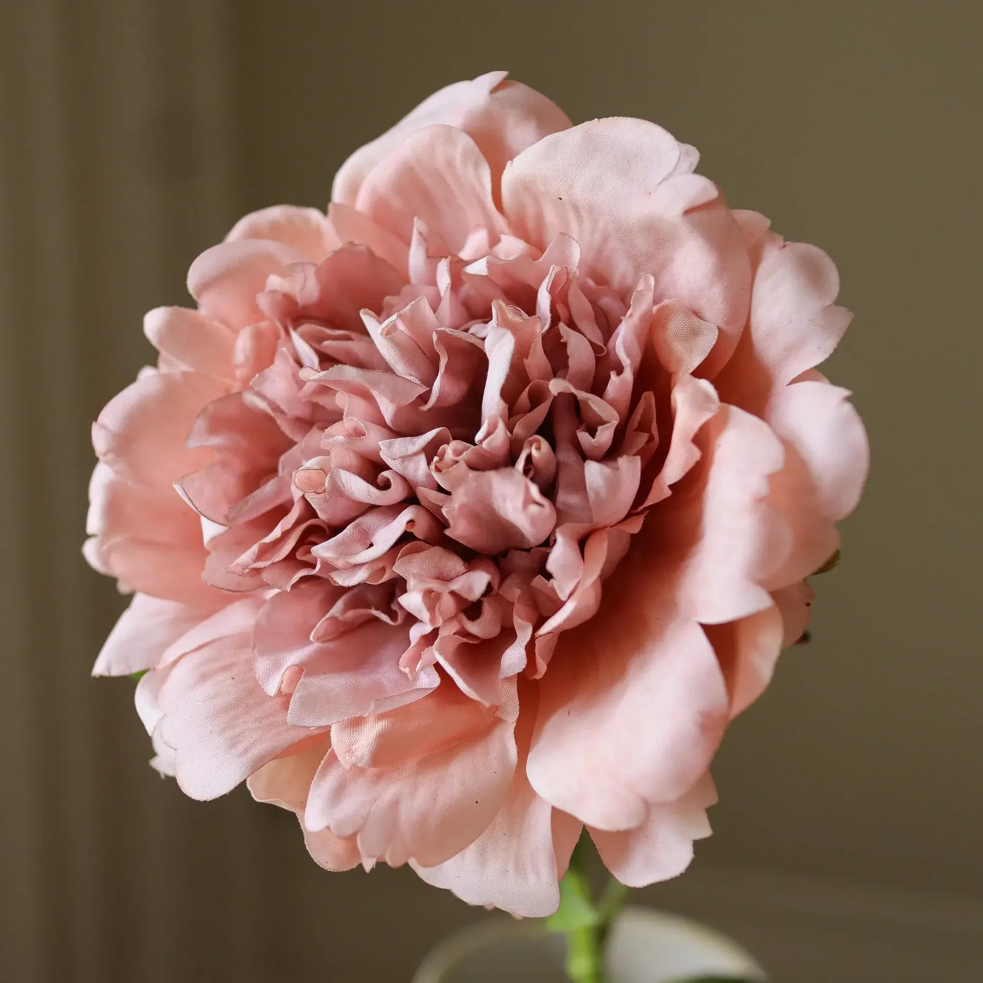 pioen kunstbloem, Dusty pink, 56 cm, 1 stuks Botané