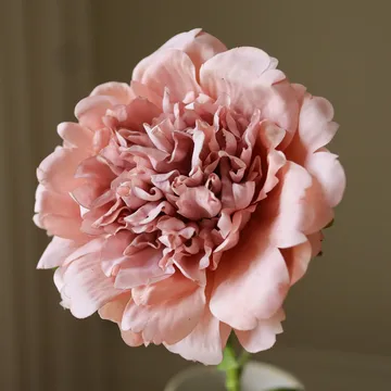 pioen kunstbloem - Dusty pink, 56 cm, 1 stuks - Botané