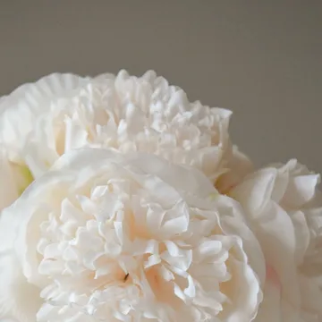 Pioenrozen kunstboeket - Mini, crème 10 st. - Botané