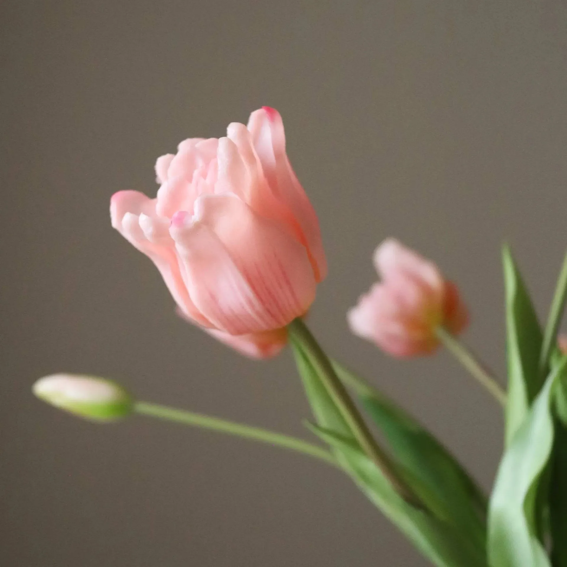 Triumph tulpen kunstboeket, Lichtroze, 10 st. Botané