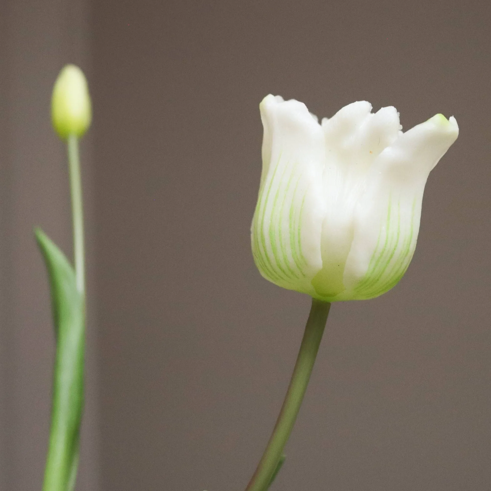 Triumph tulpen kunstboeket, Wit, 10 st. Botané