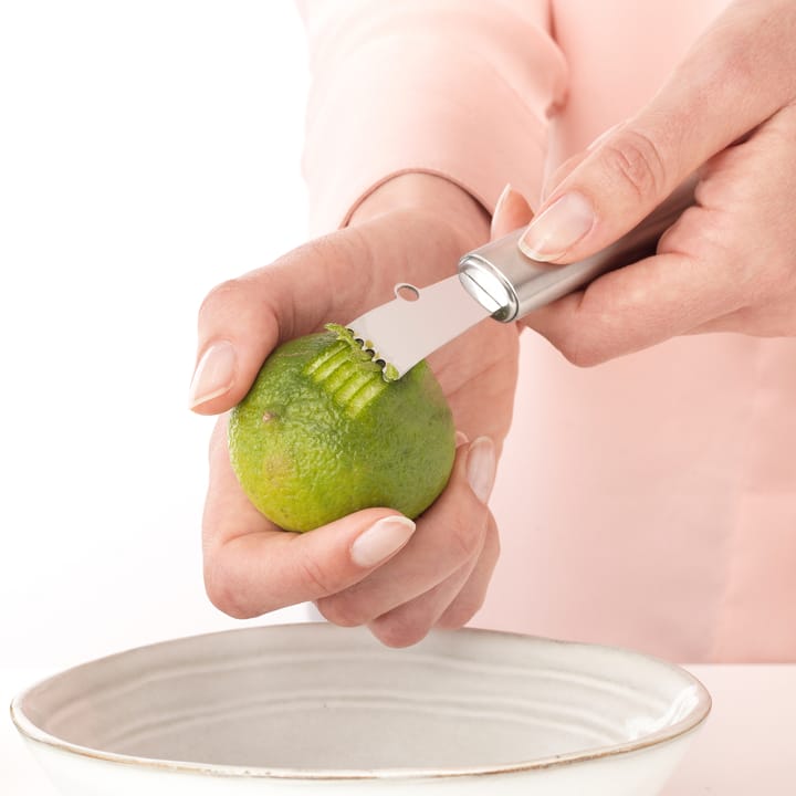 Profile citrusrasp, Roestvrij staal Brabantia