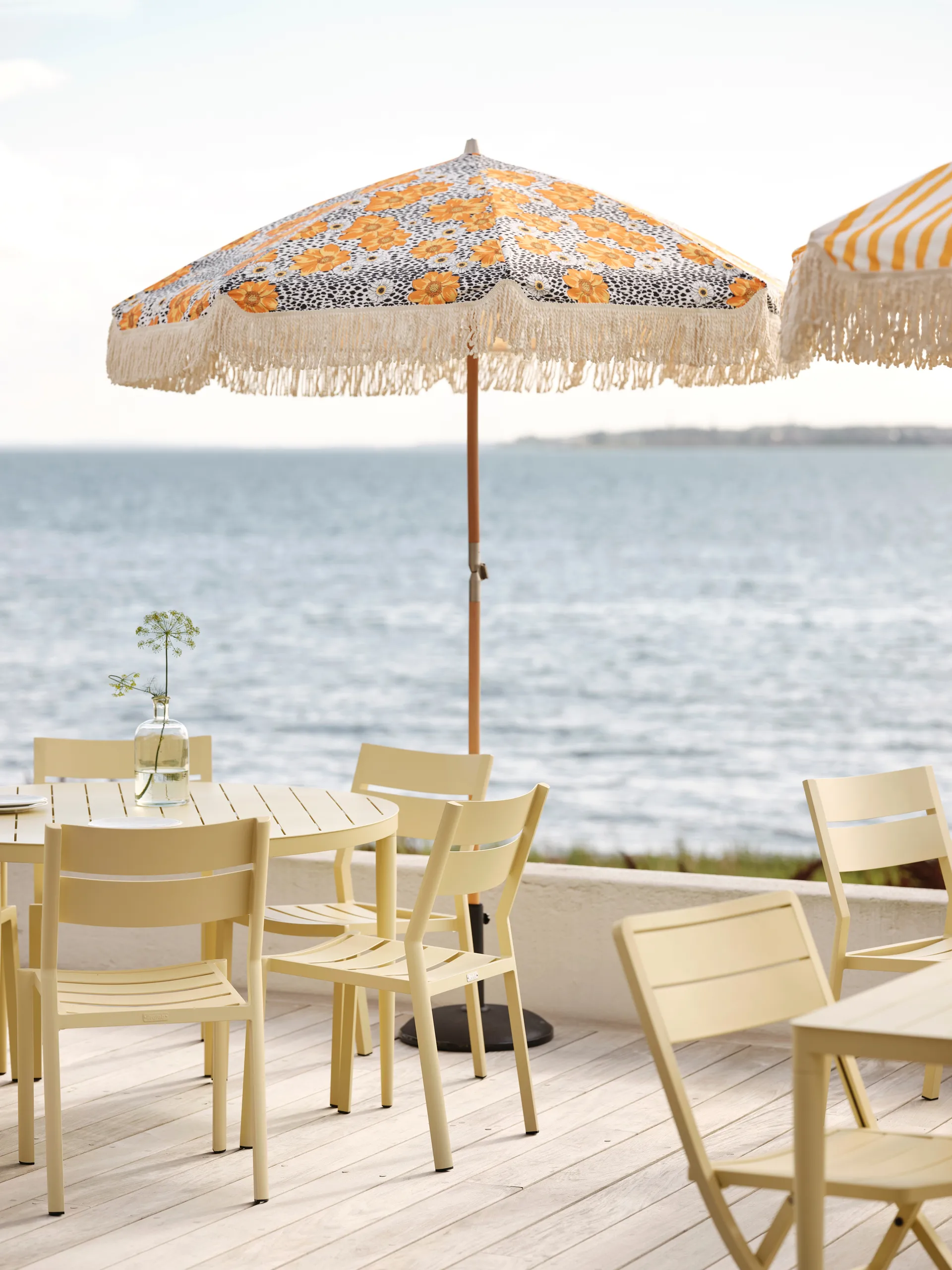 Delia stoel, Lemon Brafab