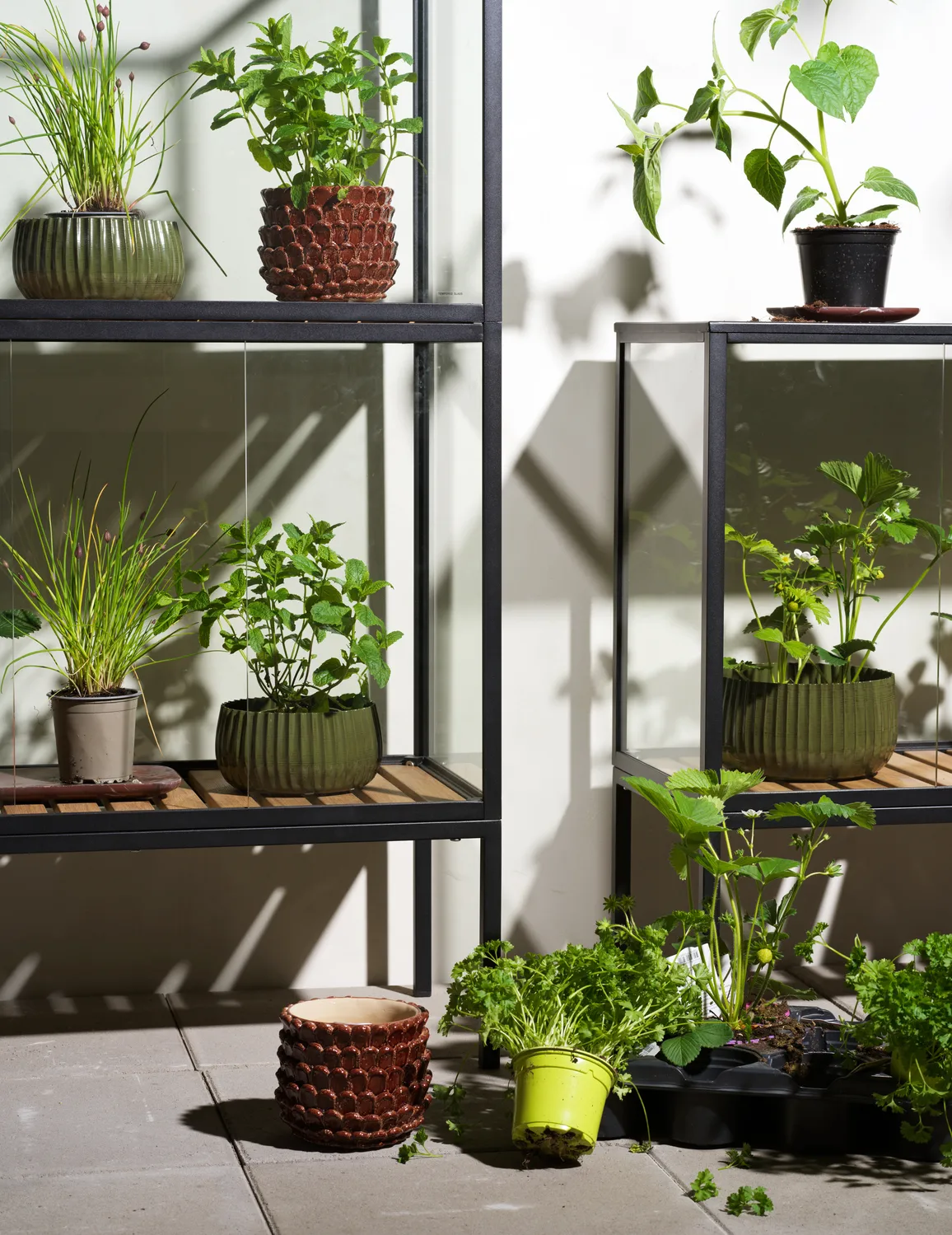 Grower Greens plantenkast, Zwart, 81x137 cm Brafab