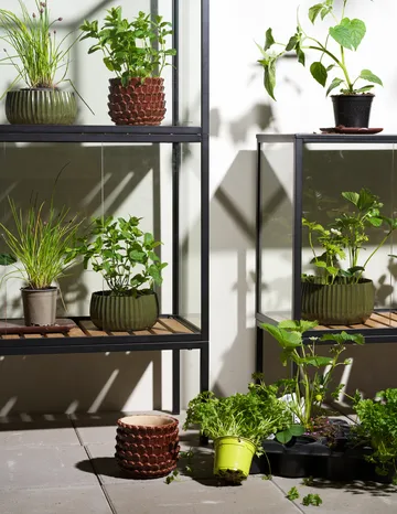 Grower Greens plantenkast - Zwart, 81x137 cm - Brafab