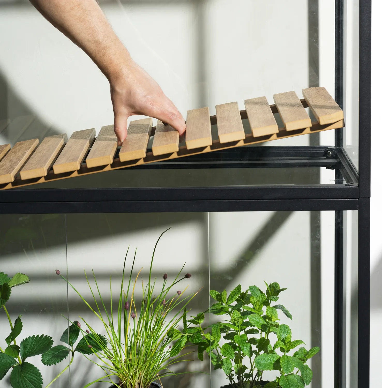 Grower Greens plantenkast, Zwart, 81x137 cm Brafab