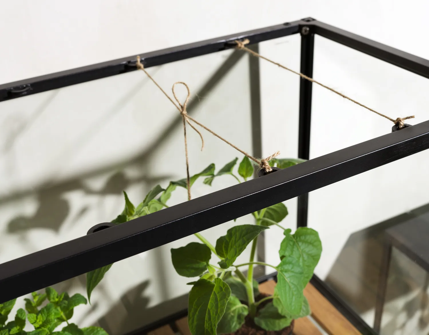 Grower Greens plantenkast, Zwart, 81x137 cm Brafab