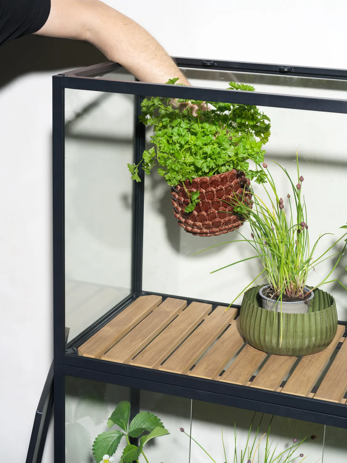 Grower Greens plantenkast, Zwart, 81x137 cm Brafab