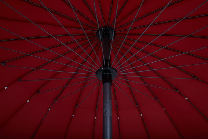 Shanghai parasol, Rood Brafab