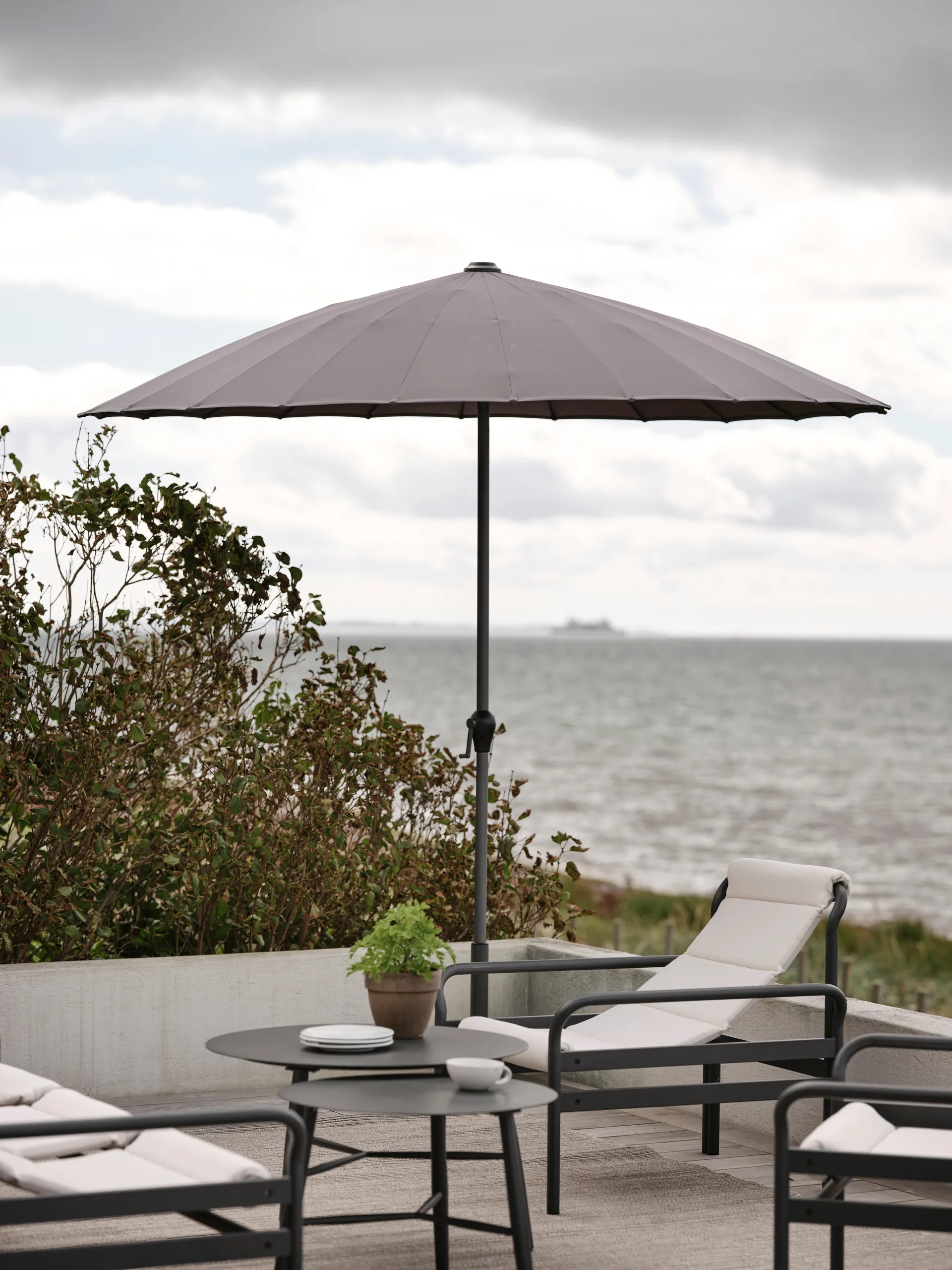 Shanghai parasol, Rood Brafab