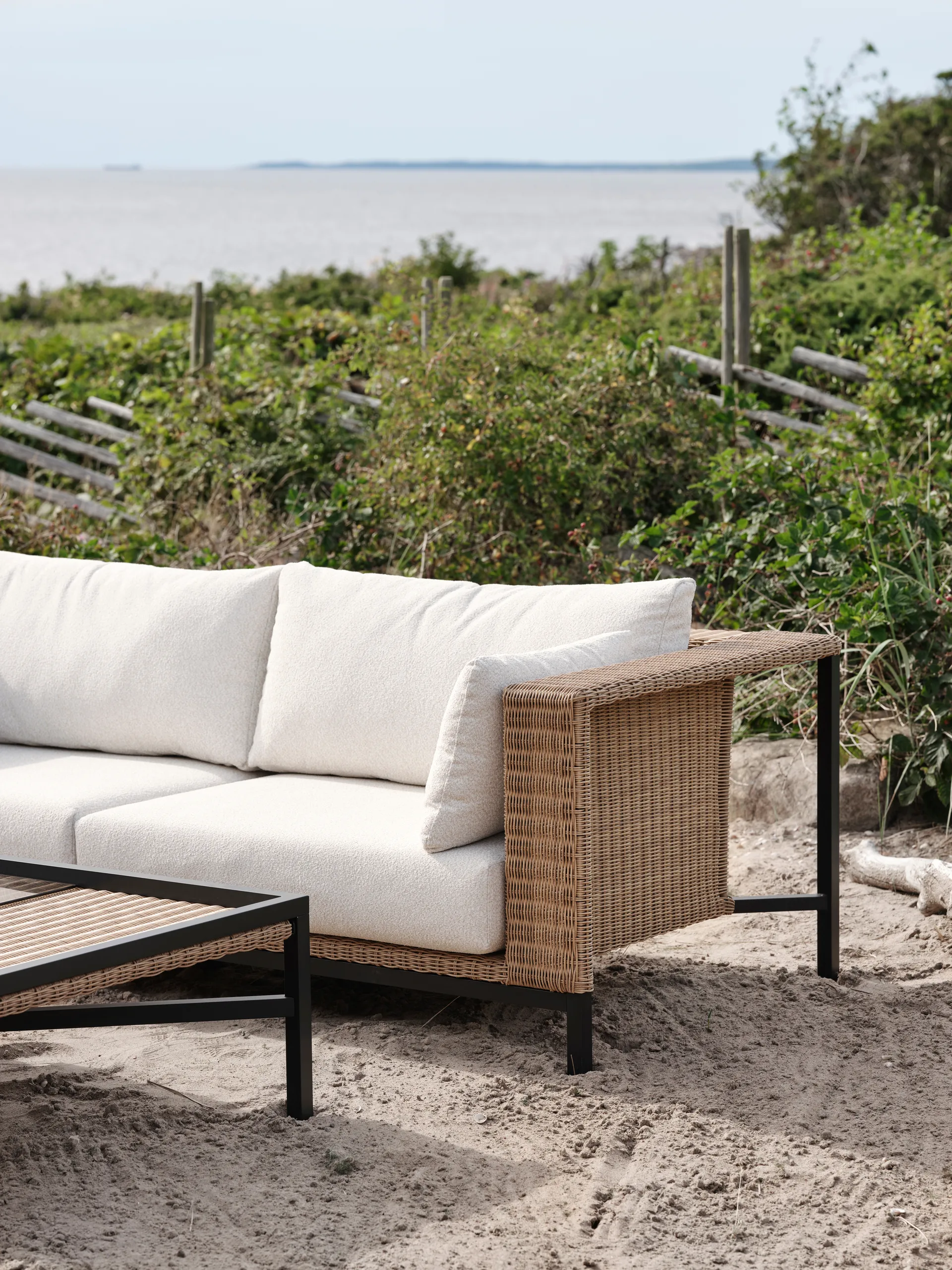 Shell bank, Teddy rice-zwart Brafab