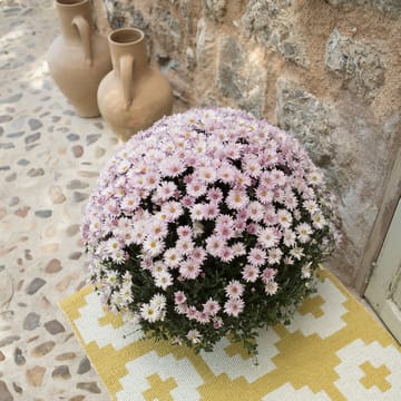Flower vloerkleed sun (geel) - 70 x 150 cm. - Brita Sweden