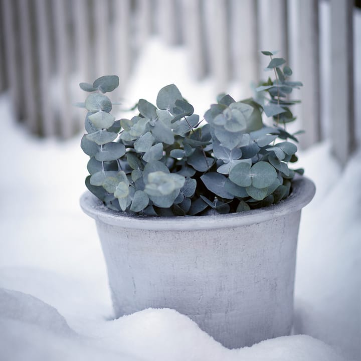 Cilla bloempot schotel Ø37 cm, Aluminium Byarums bruk
