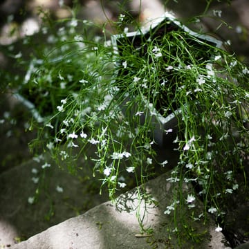 Stjärnkruka bloempot - Aluminium, hoog Ø30 cm - Byarums bruk