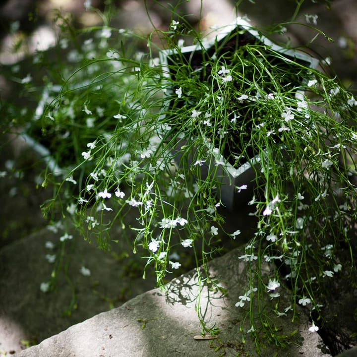 Stjärnkruka bloempot, Aluminium, hoog Ø30 cm Byarums bruk
