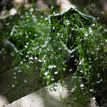 Stjärnkruka bloempot - Aluminium, lage Ø23 cm - Byarums bruk