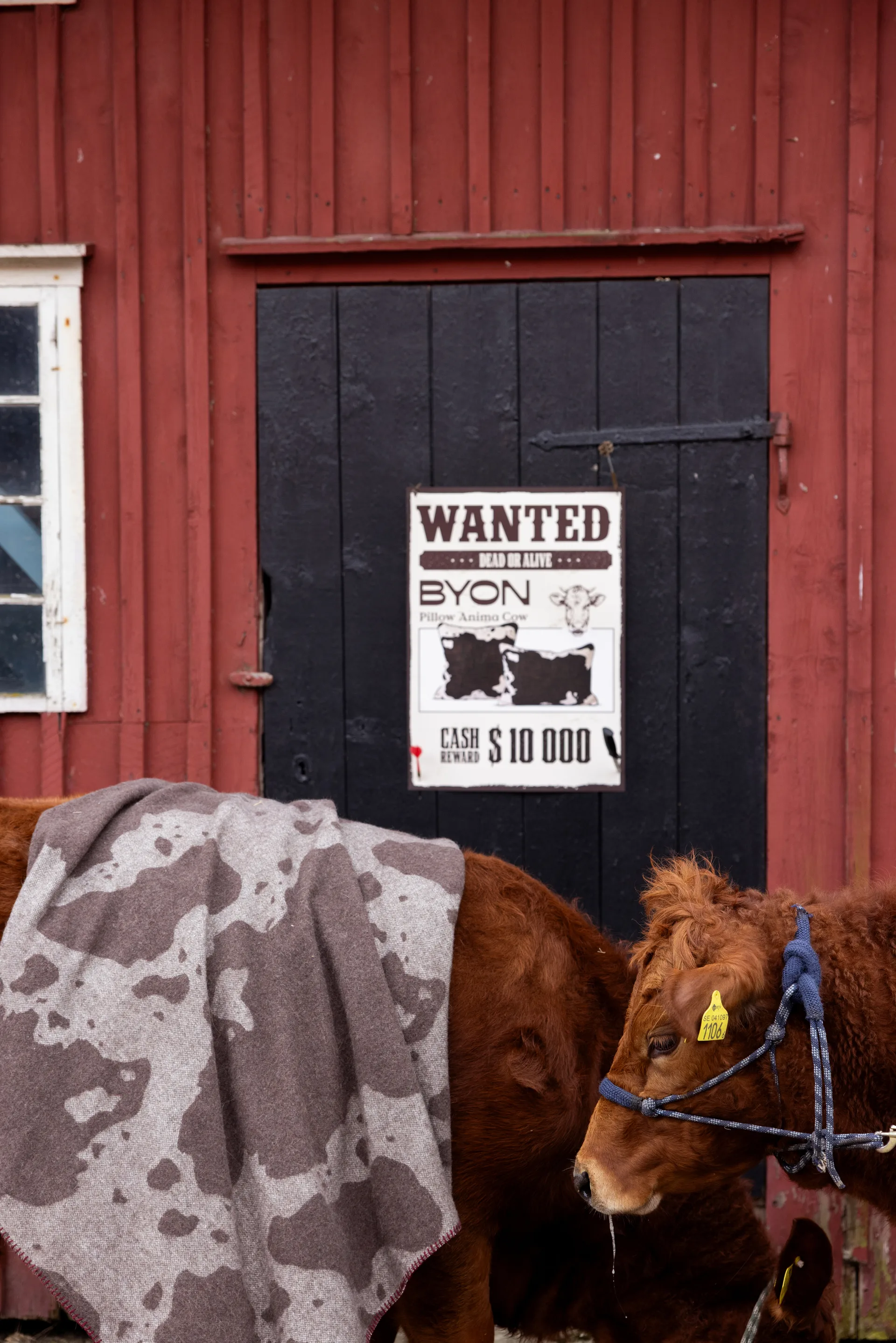 Anima deken 130x200 cm, Koe Byon