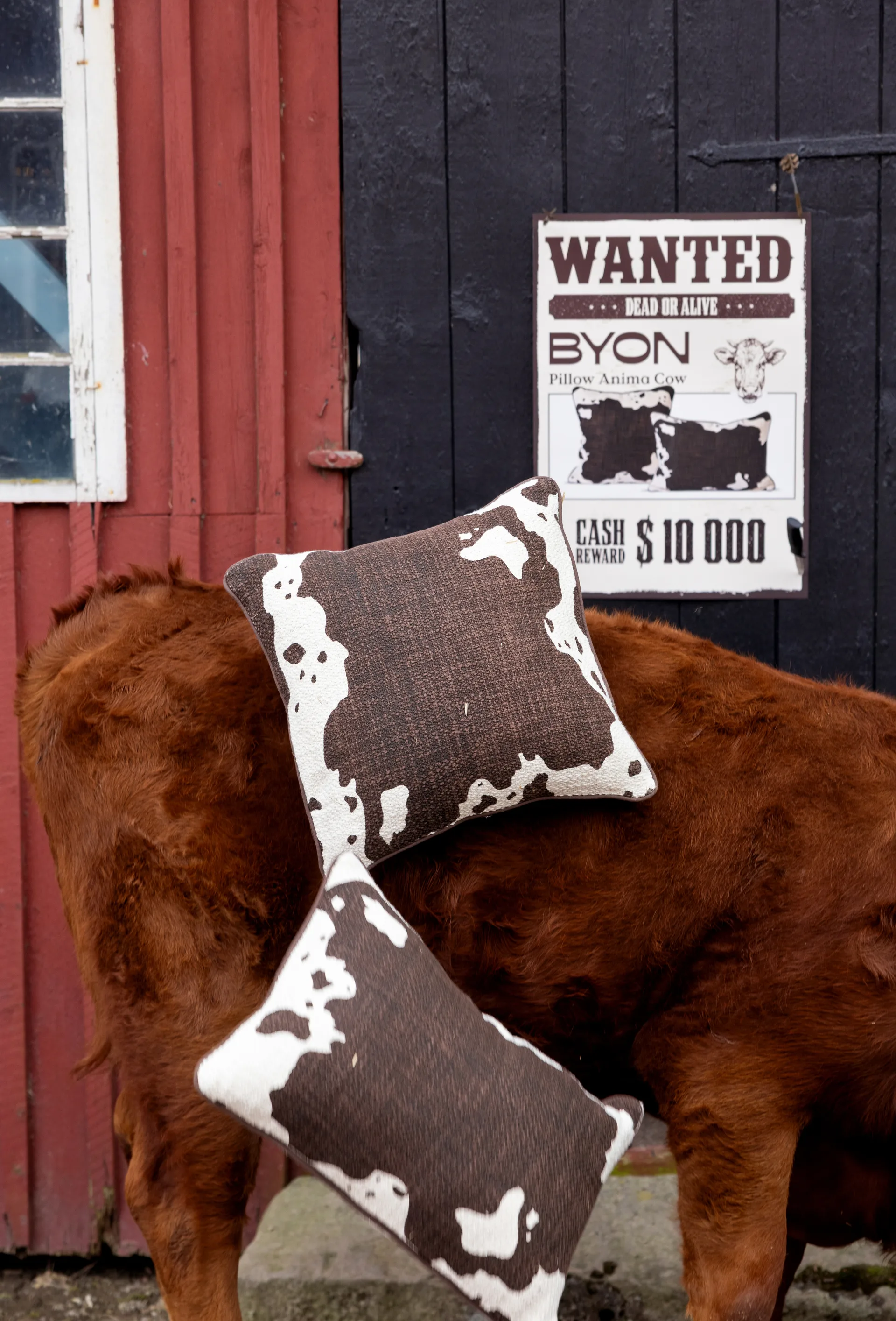 Anima kussen L 40x60 cm, Koe Byon