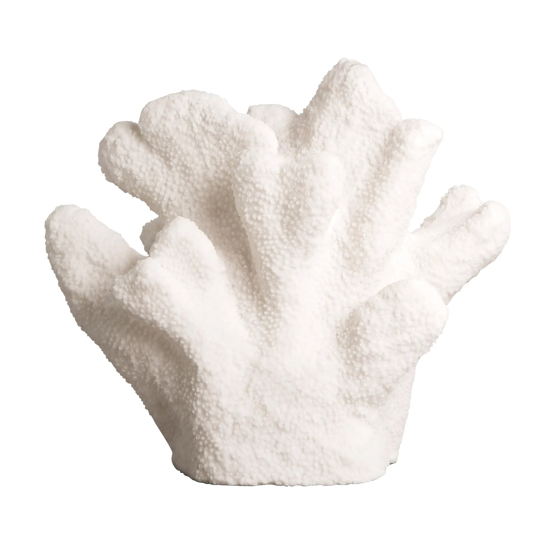 Coral tafellamp, Aventurien Byon