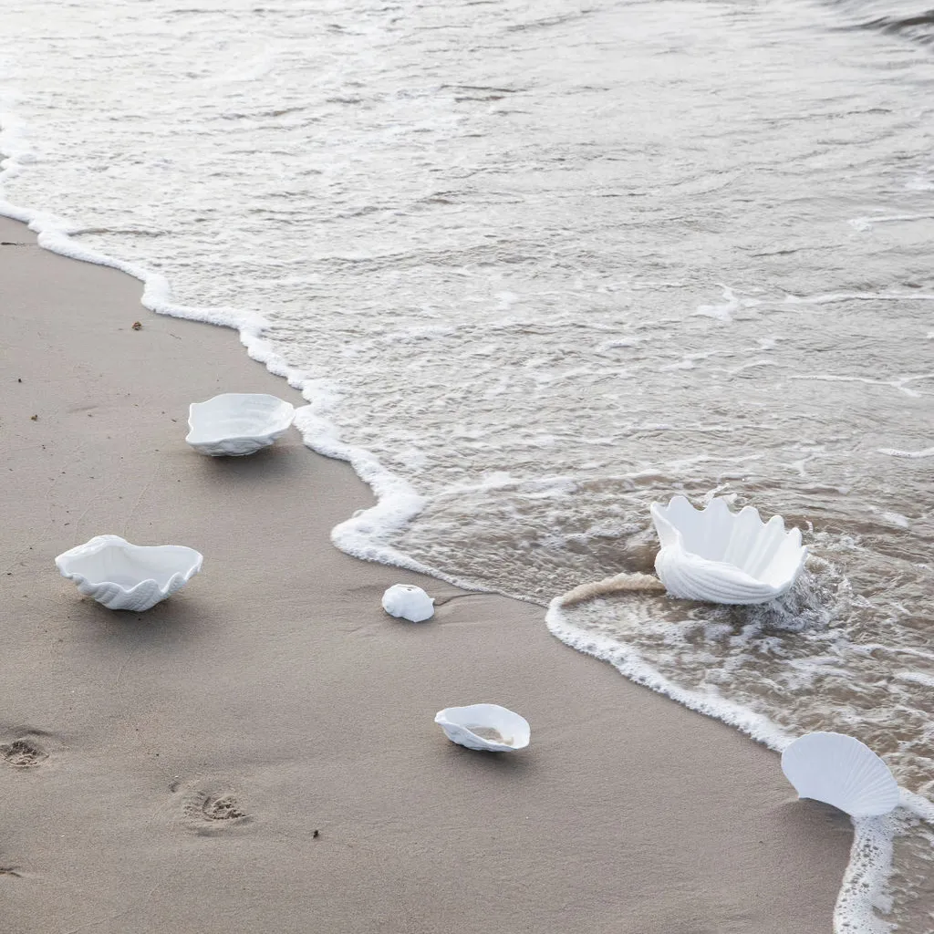 Shell schaal, 16 x 23 cm Byon