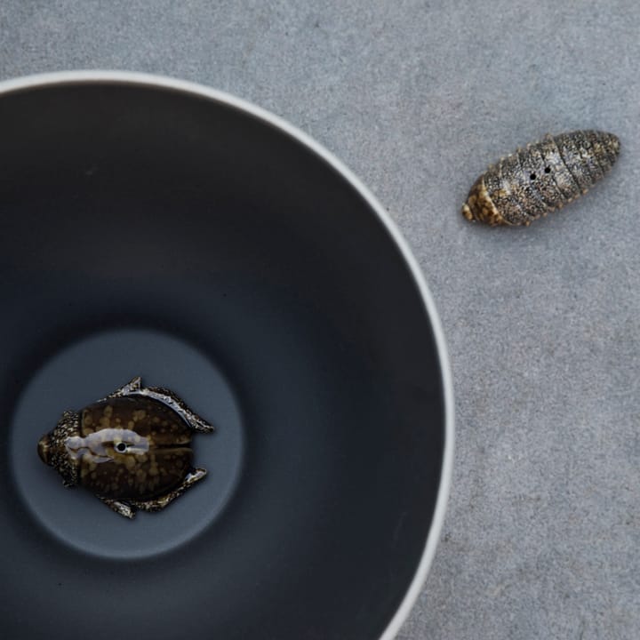 Zout- & pepervaatje kevers, bruin Byon