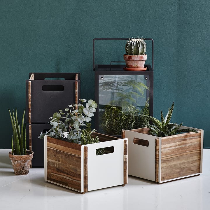 Box opbergkist, Lava grey, teak Cane-line