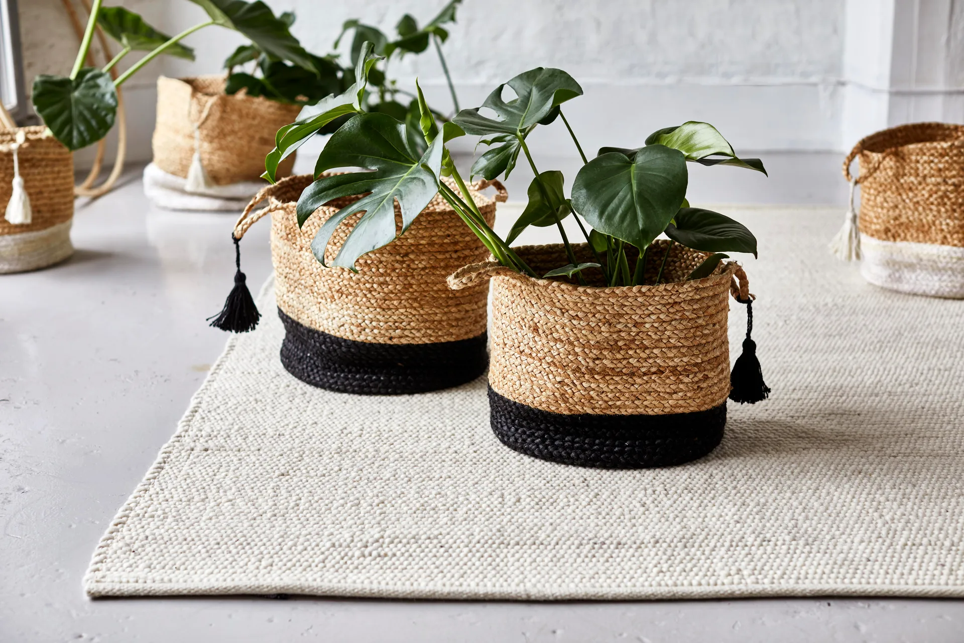 Merino wollen vloerkleed, oat, 250x350 cm Classic Collection