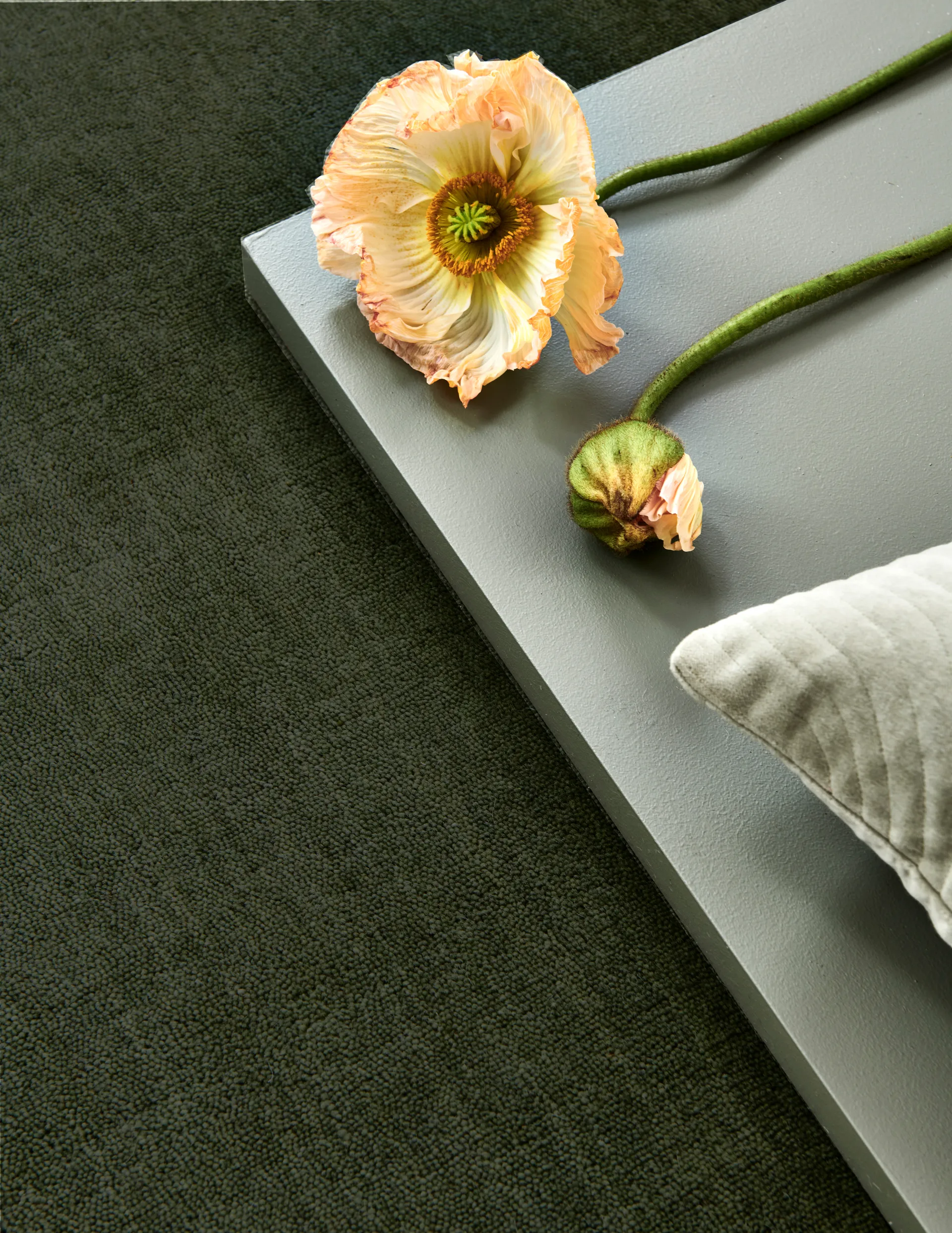 Solid vloerkleed, Green, 200x300 cm Classic Collection