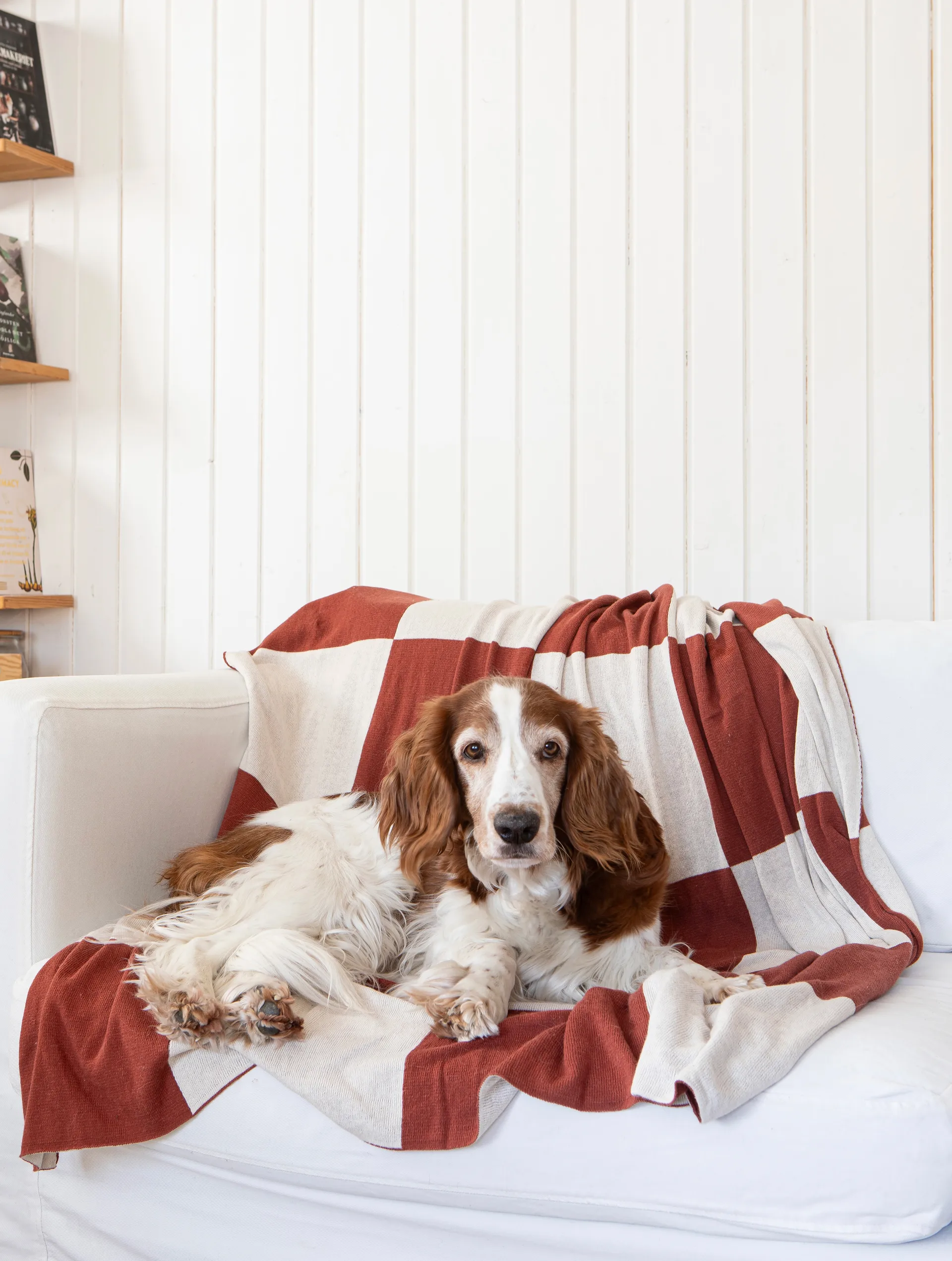 Square plaid 130x170 cm, Donker Brown Classic Collection