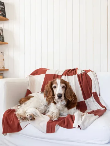 Square plaid 130x170 cm - Donker Brown - Classic Collection