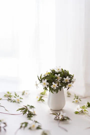 Clover vaas 11 cm - White - Cooee Design