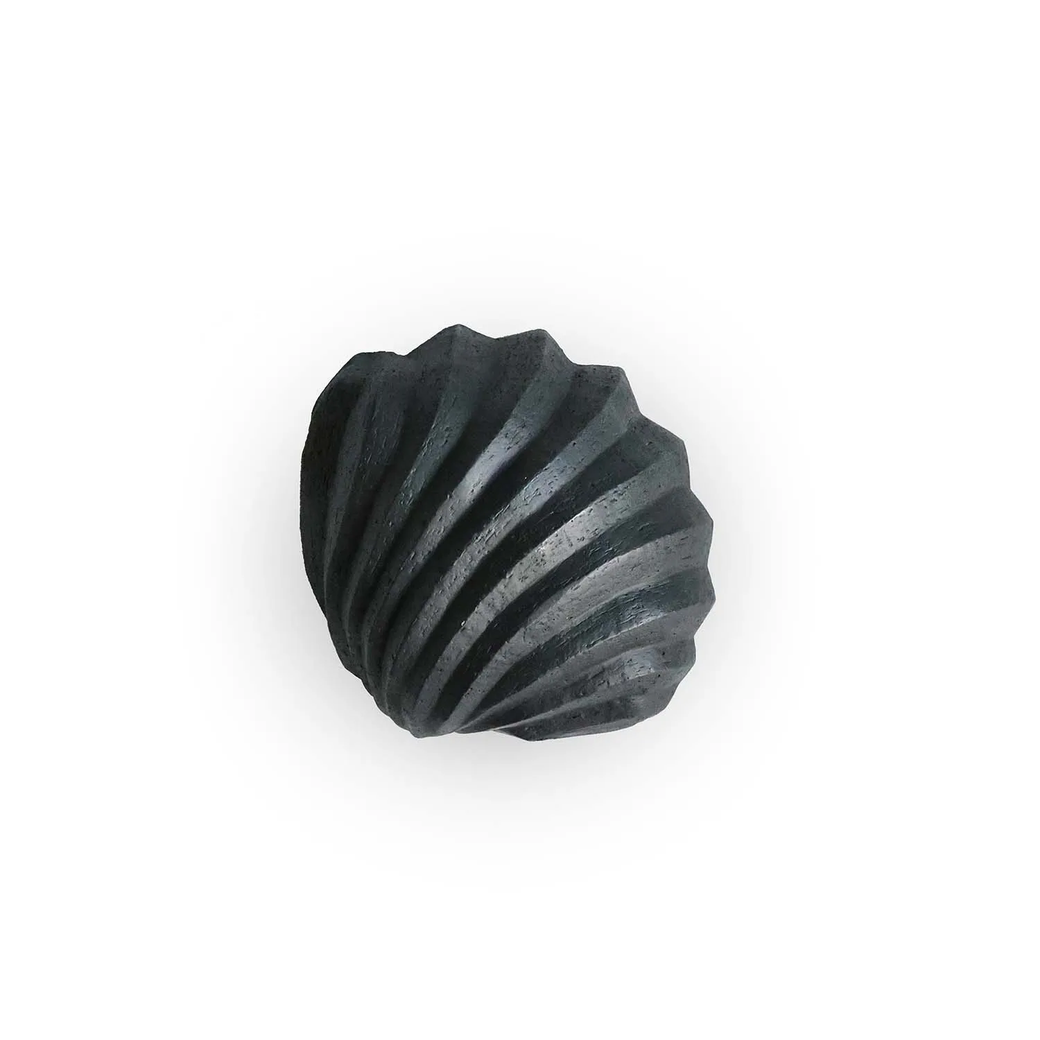 The Clam Shell sculptuur 13 cm, Coal Cooee Design