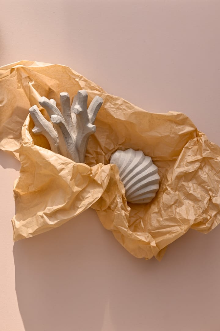 The Clam Shell sculptuur 13 cm, Limestone Cooee Design