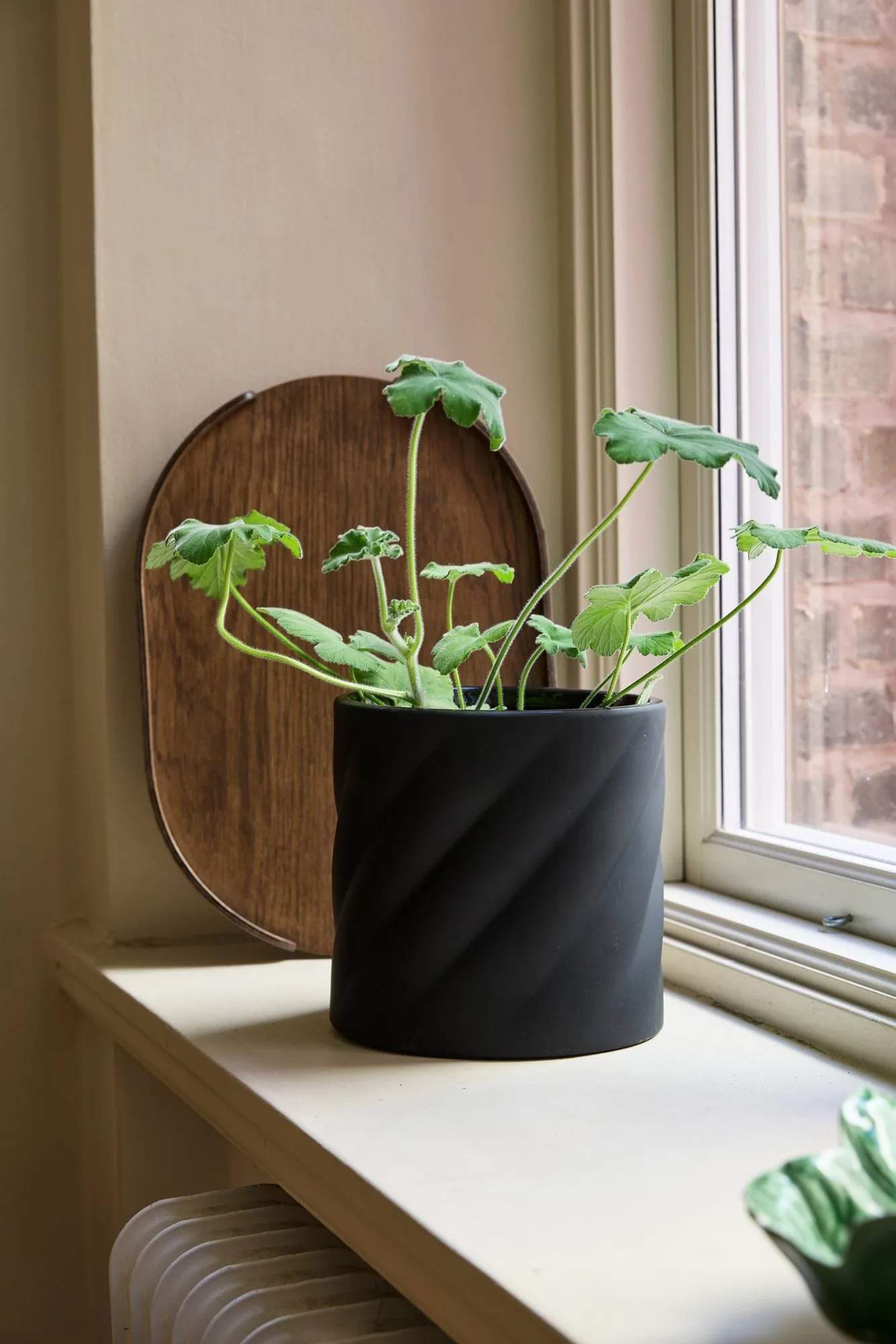 Twist bloempot, Black, medium Ø19 cm Cooee Design