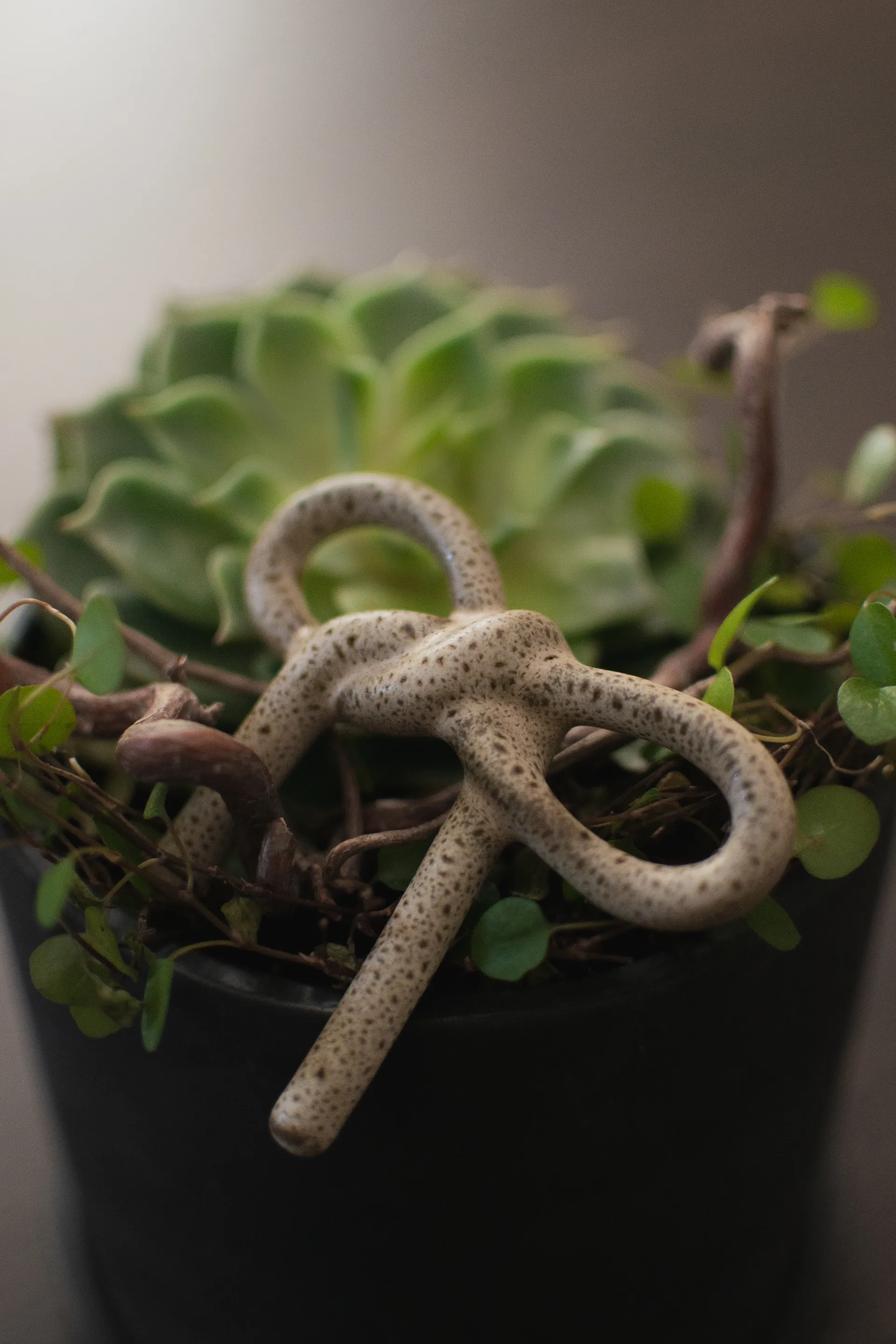 Bow bloemdecoratie, Beige DBKD