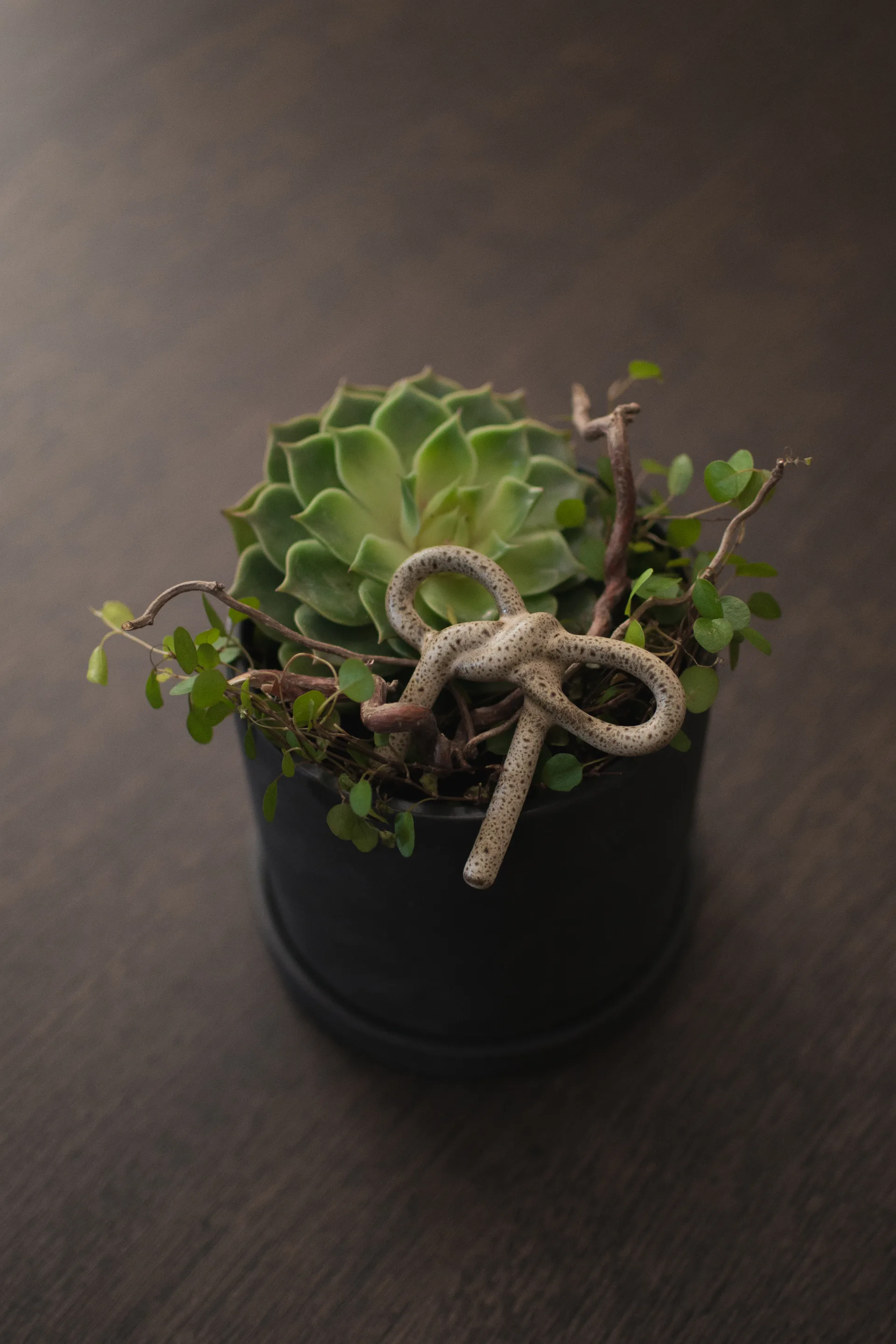 Bow bloemdecoratie, Beige DBKD