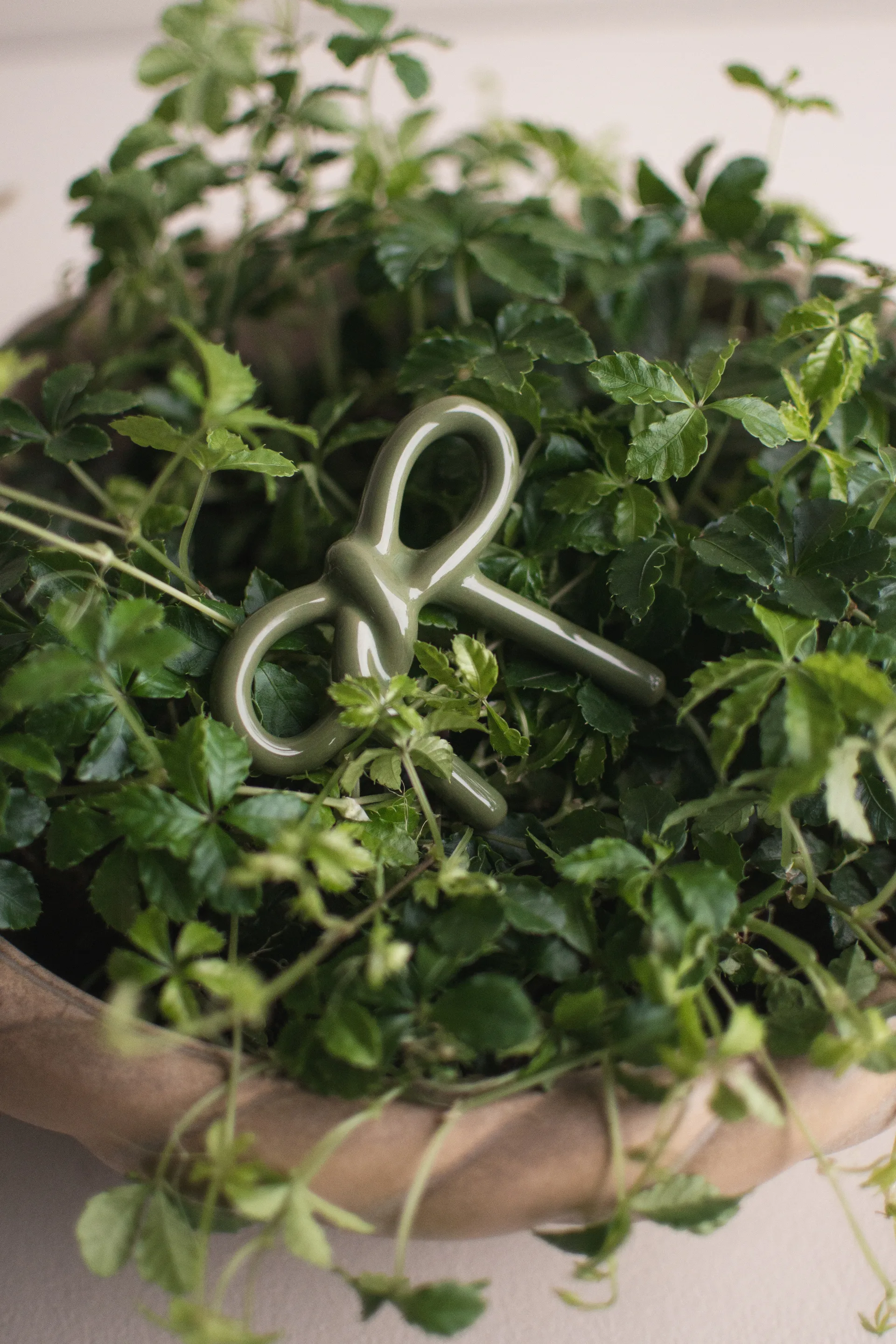 Bow bloemdecoratie, Glanzend groen DBKD