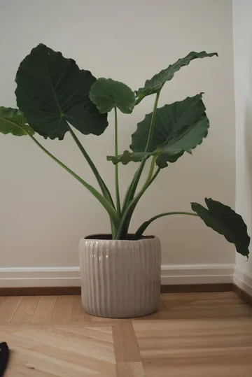 Ease bloempot - Glanzend mole, Ø30x28 cm - DBKD
