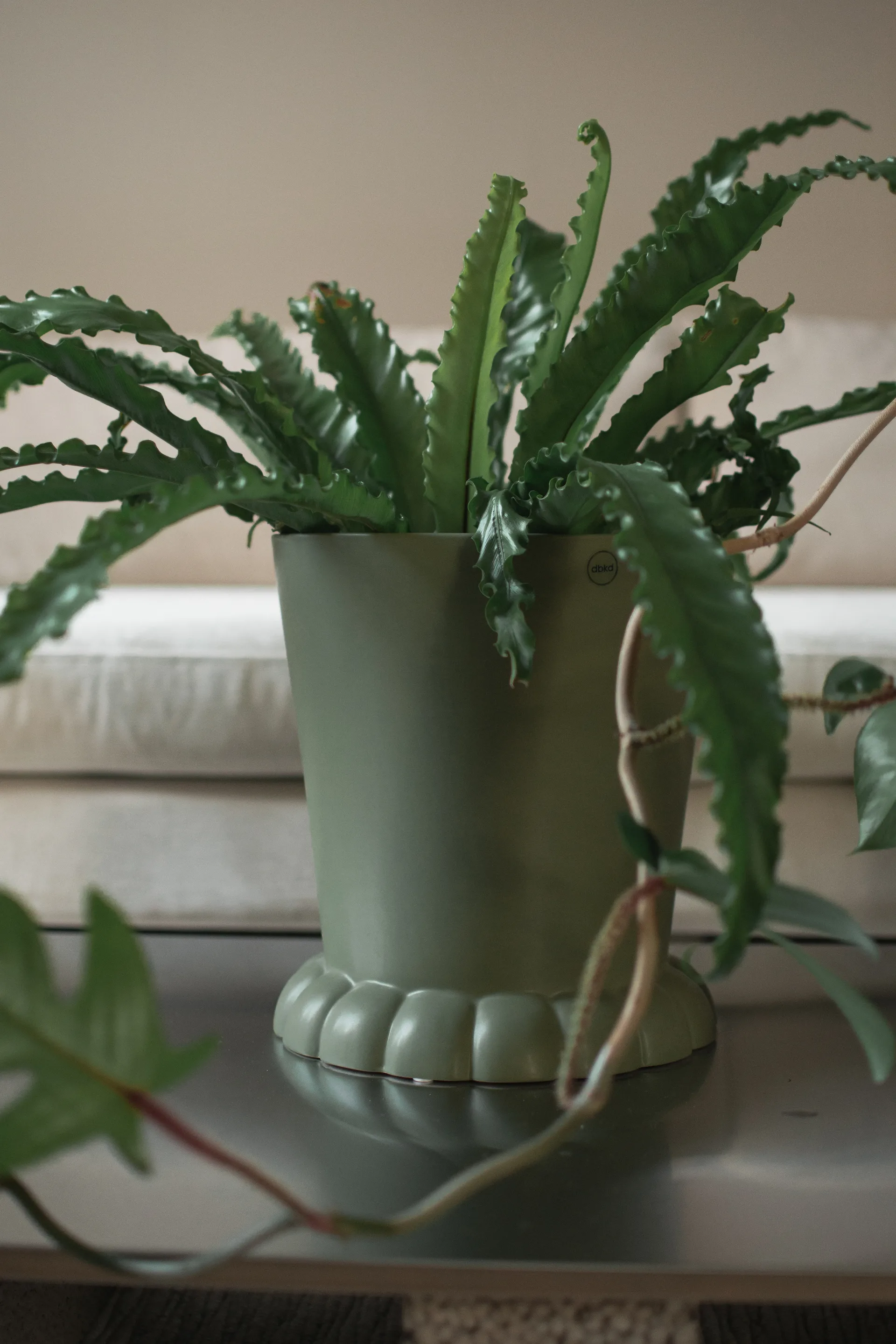 Flora pot Ø25 cm, Green DBKD