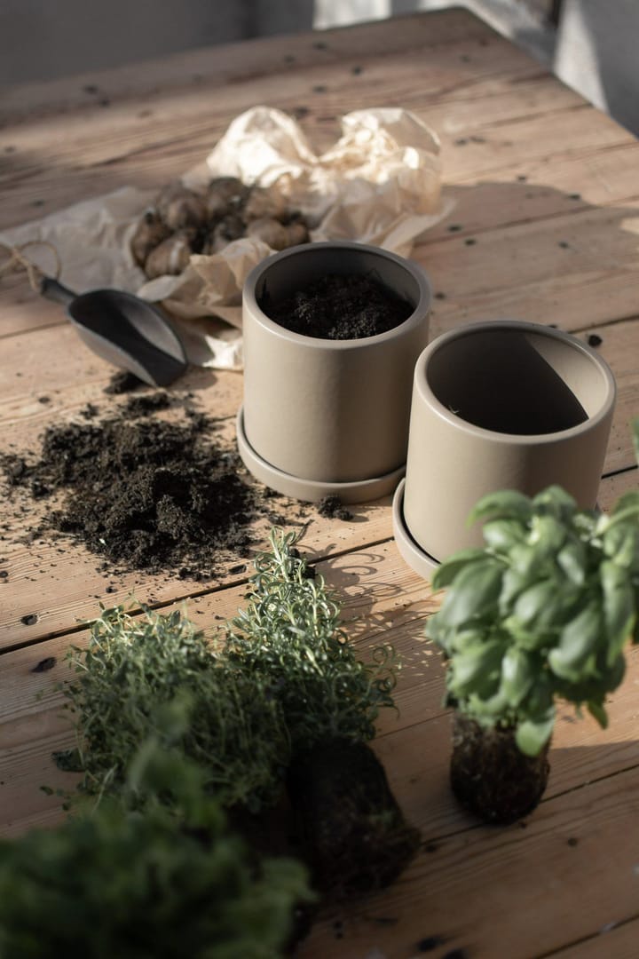 Grow pot met schotel Ø13 cm - Dust - DBKD