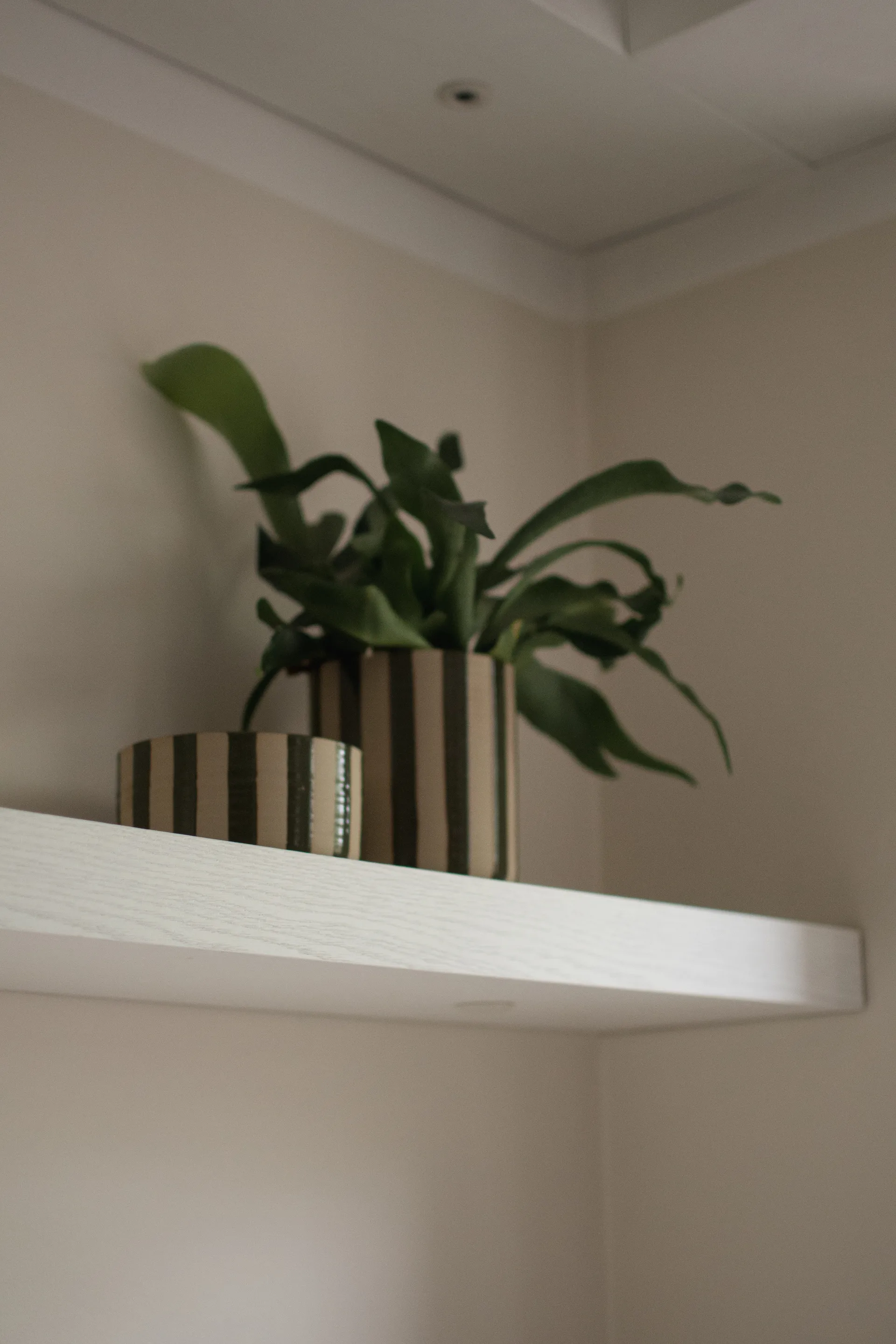 Line decoratieschaal Ø16 cm, Stripe Green DBKD