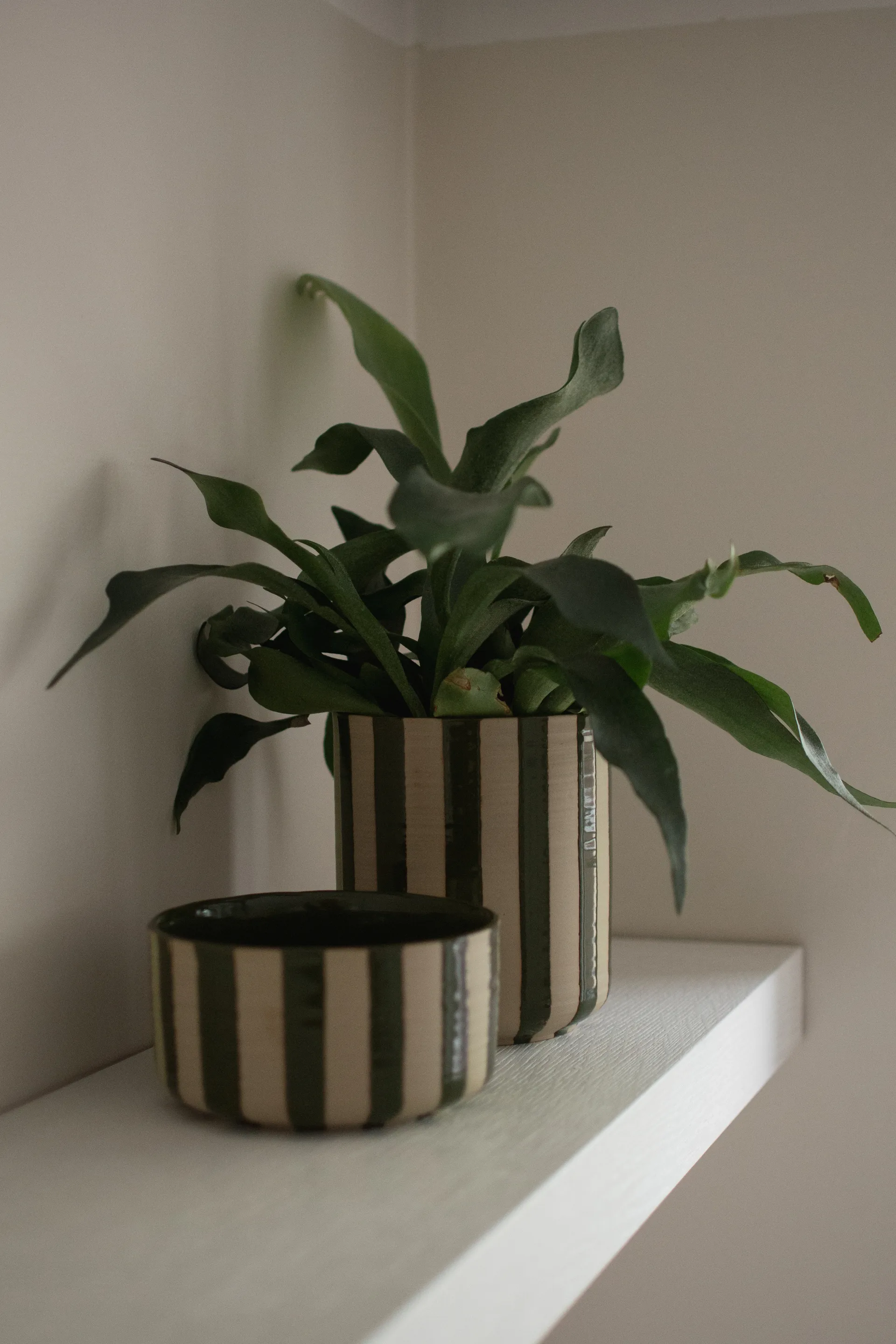 Line pot Ø14x16 cm, Stripe Green DBKD