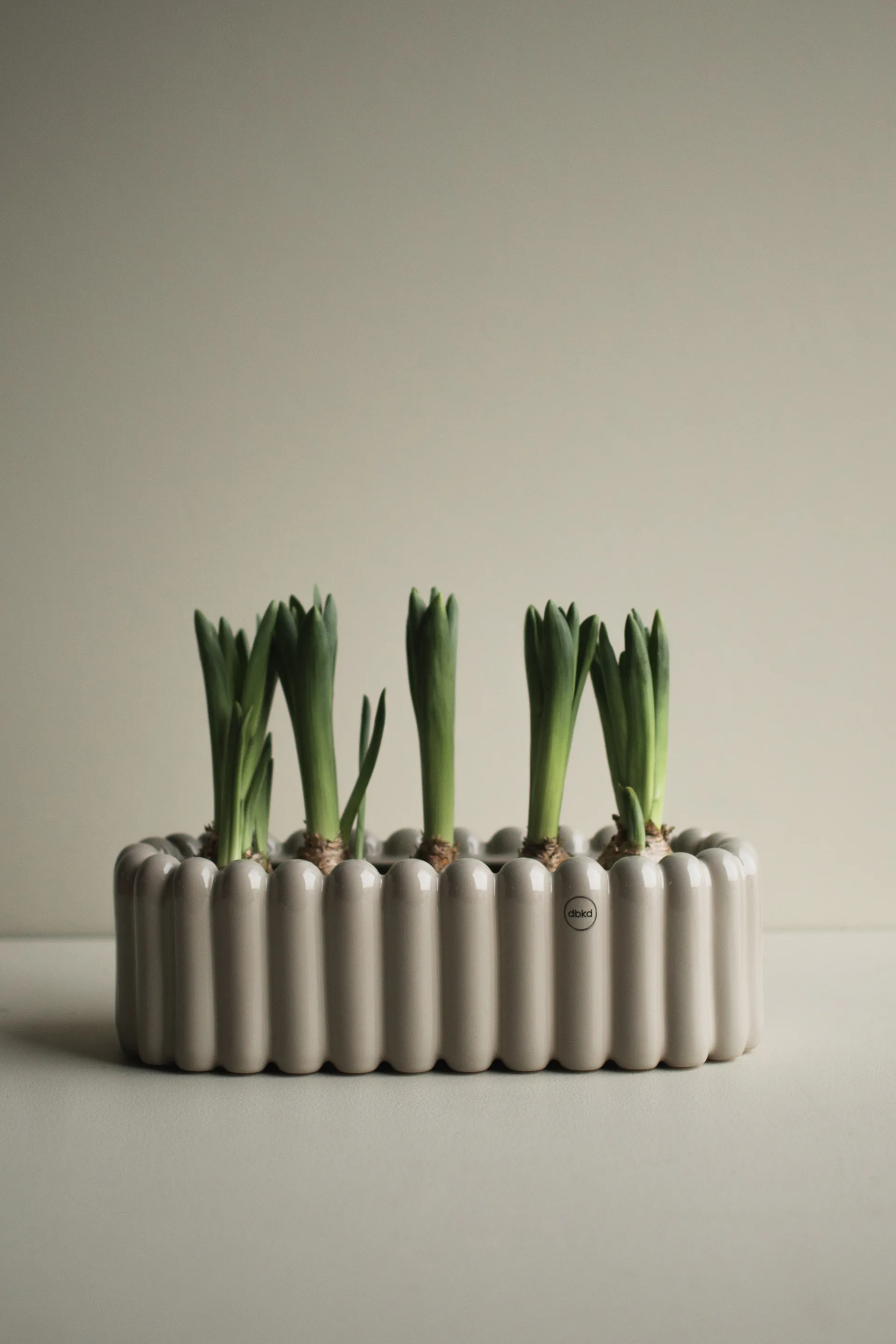 Mist pot ovaal small 35 cm, Glanzende mol DBKD