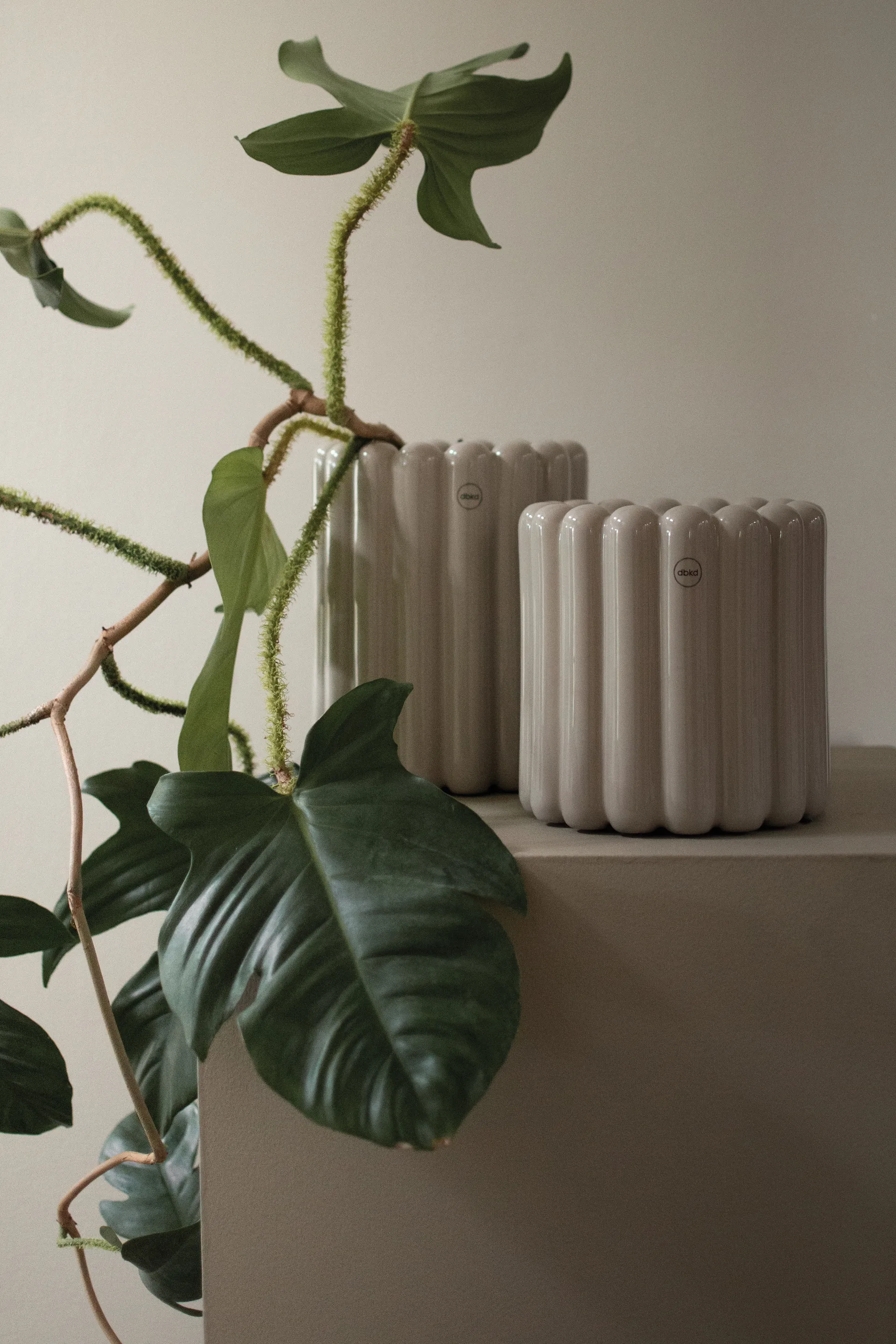 Mist pot small Ø19x19 cm, Glanzende mol DBKD